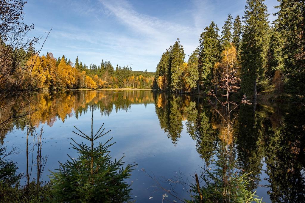 Ferienhaus Thale Браунлаге Экстерьер фото