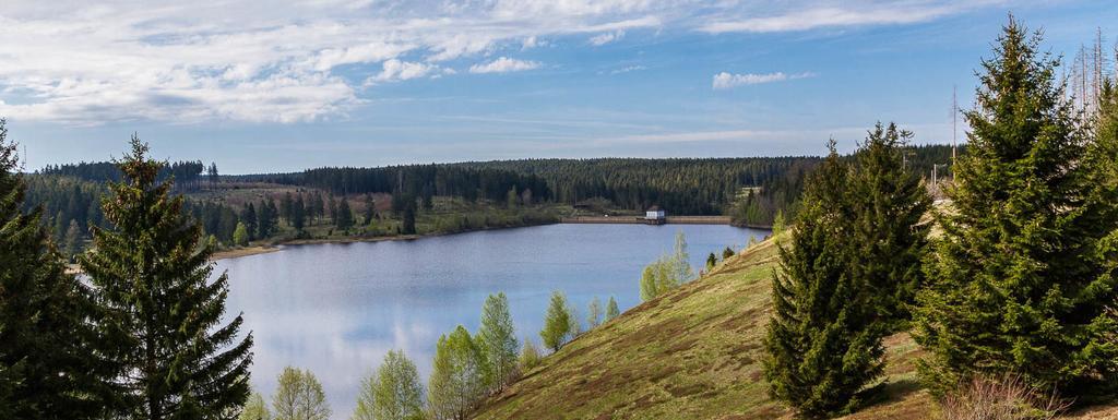 Ferienhaus Thale Браунлаге Экстерьер фото